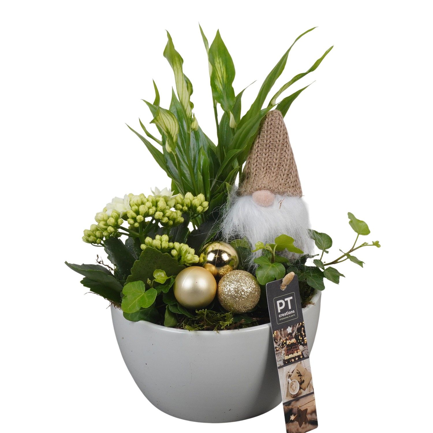 PTCHG5624 Arrangement Christmas Gold in keramiek schaal, D 15 cm