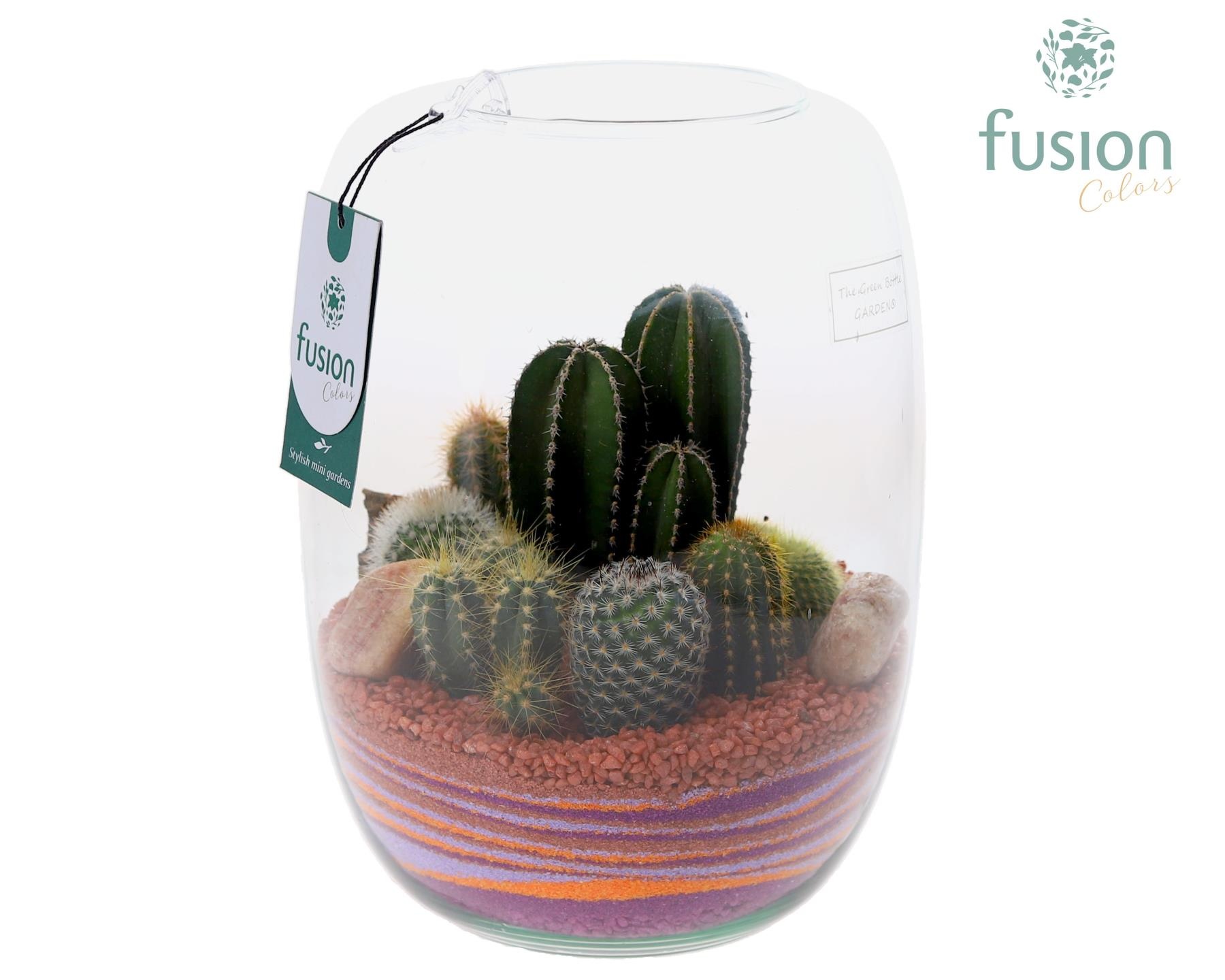 Green Bottle Isabella Large met zand arrangement, D 19