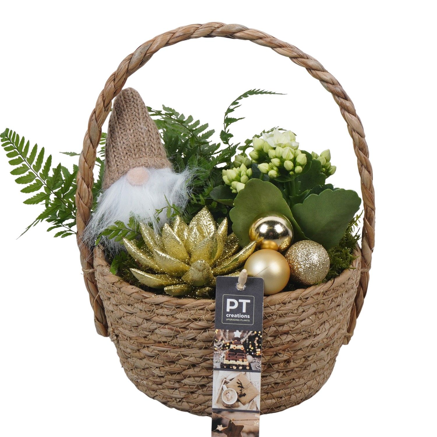 PTCHG5685 Arrangement Christmas Gold in rieten mand, D 18 cm