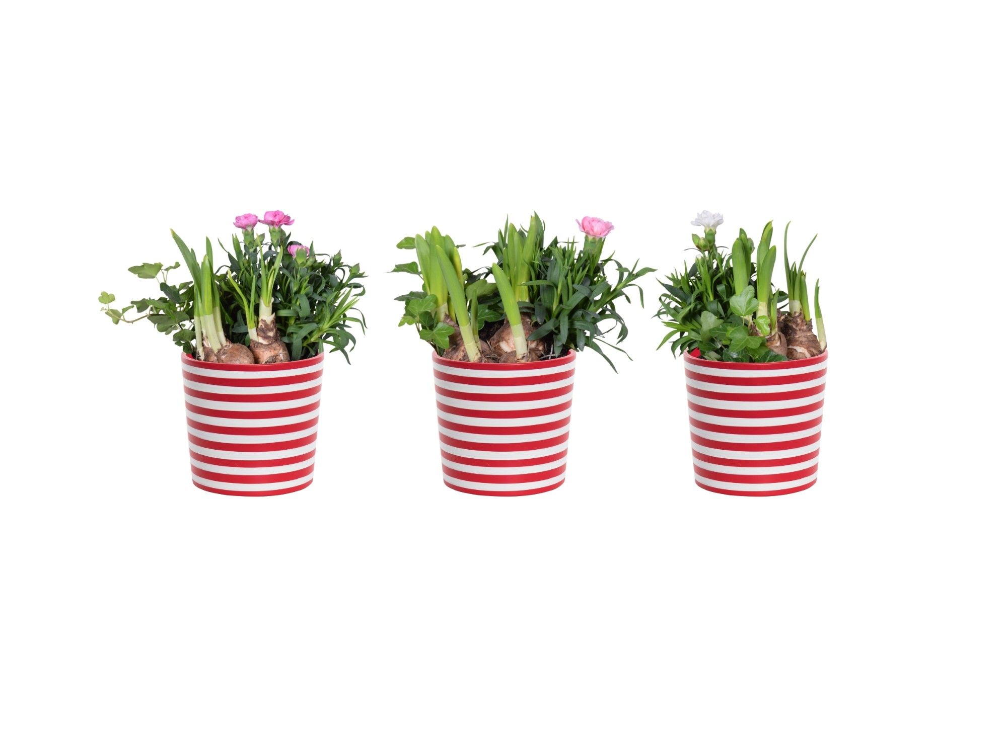 Arrangement in keramiek Vibe, D 12