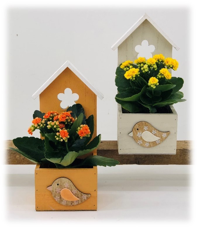 TDM PASEN 26 : Houten huisje met Kalanchoë, D 12