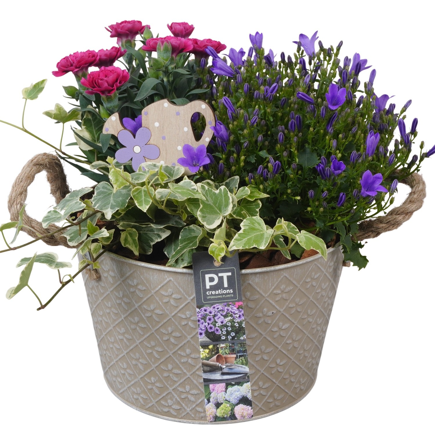 PTPP6896 Arrangement Patio in metalen schaal, D 21