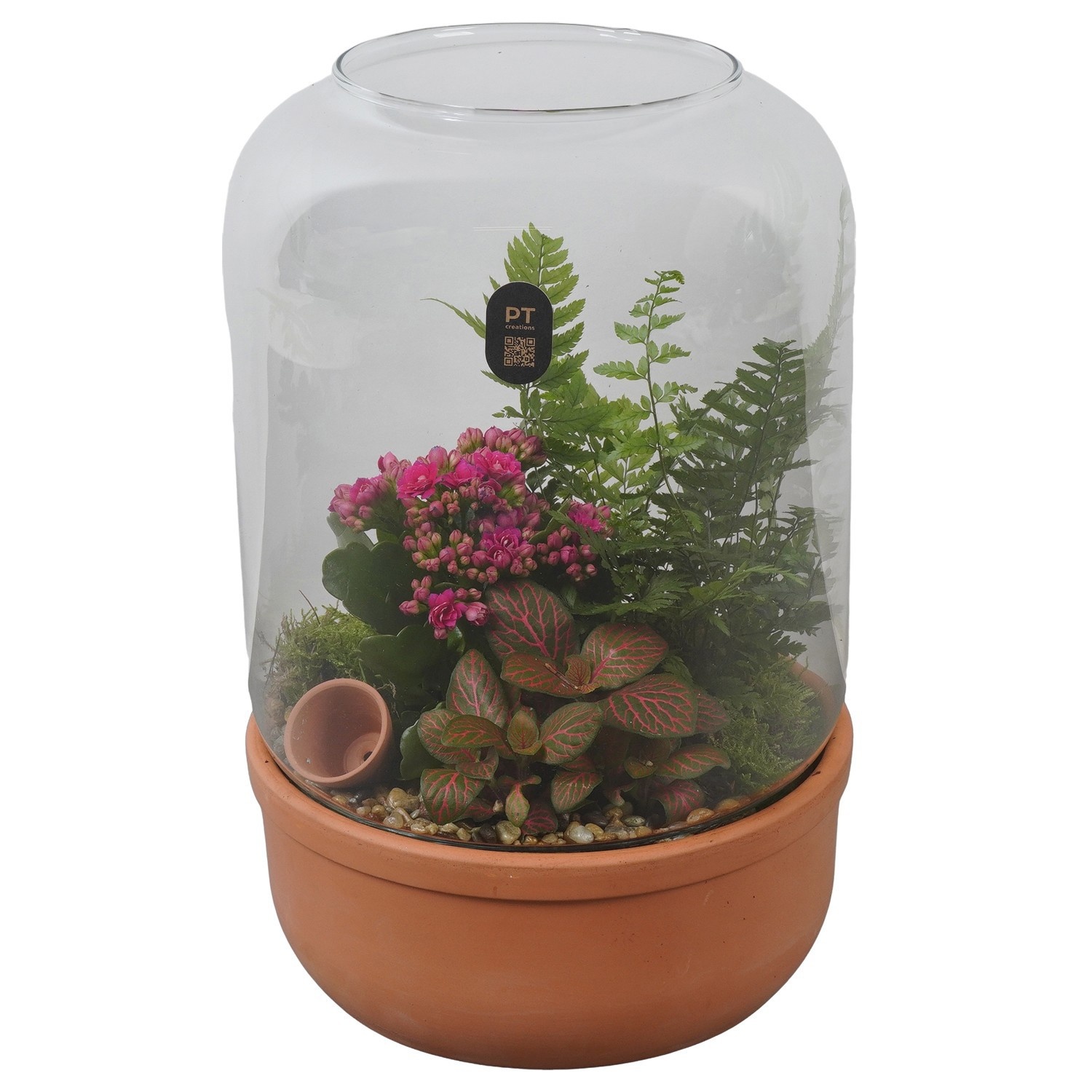 PTIG2647 Arrangement Indoor in glazen vaas, D 20