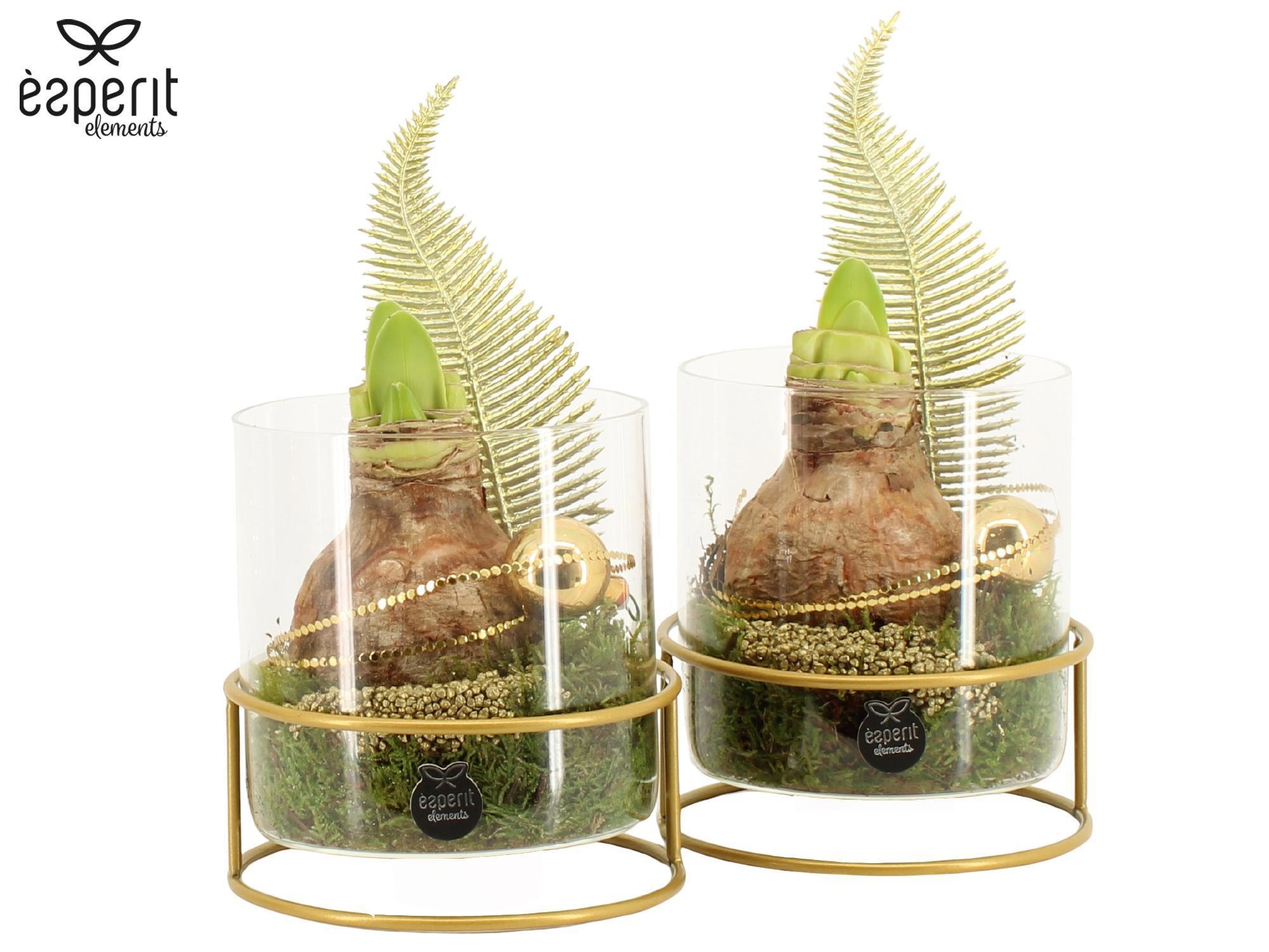 62049: X-mas arrangement, D 13