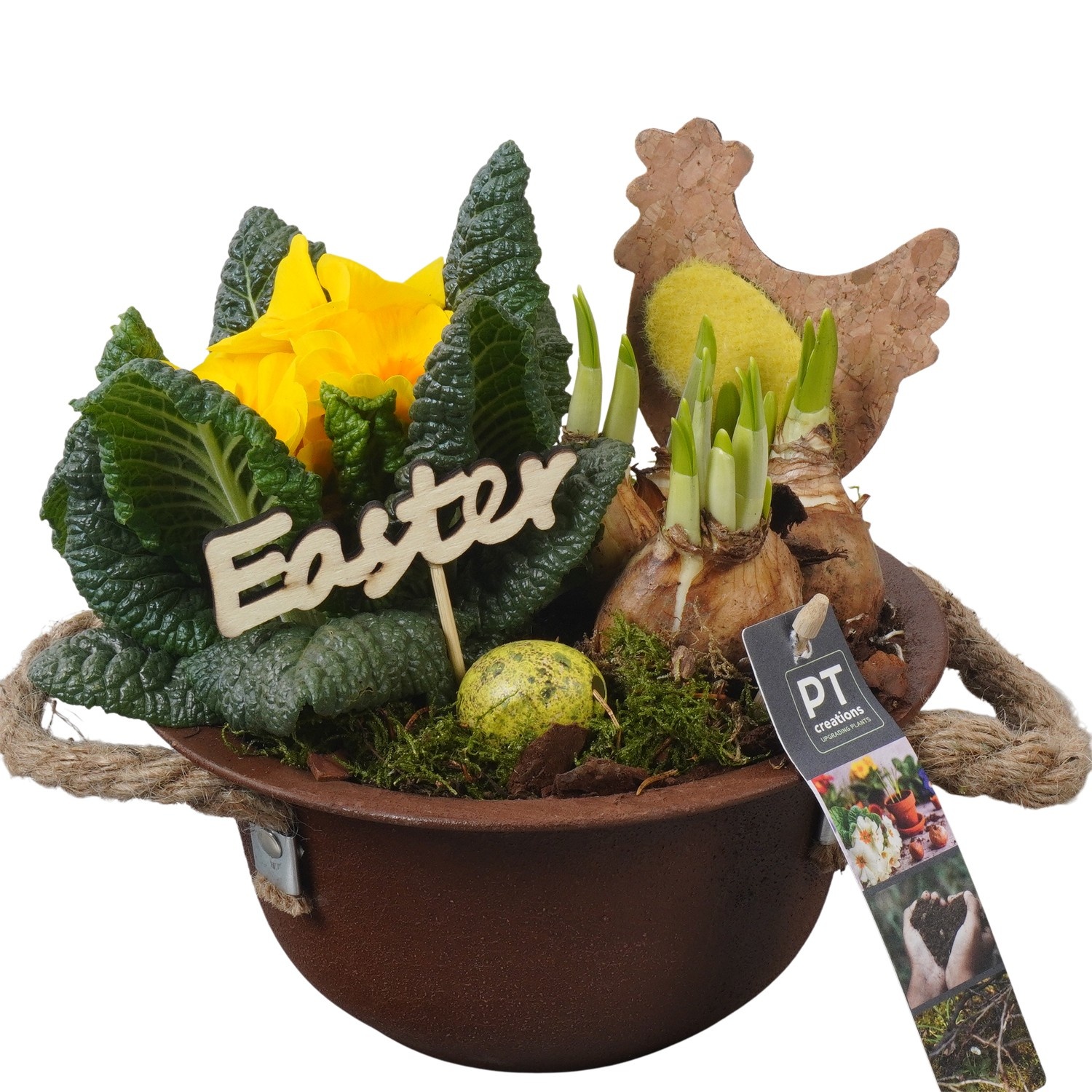 PTBMP5619 Arrangement Easter Bulbs Mix in zink schaal, D 18