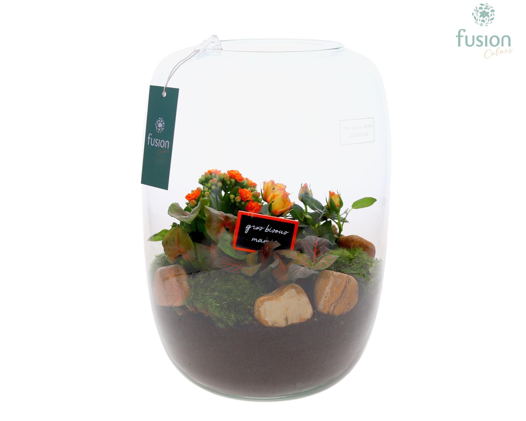 Green Bottle Isabella XLarge Grootmoederdag met Arrangement, D 23