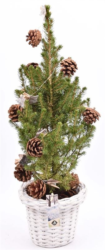 Wilg bloempot wit 18cm, D 18 cm