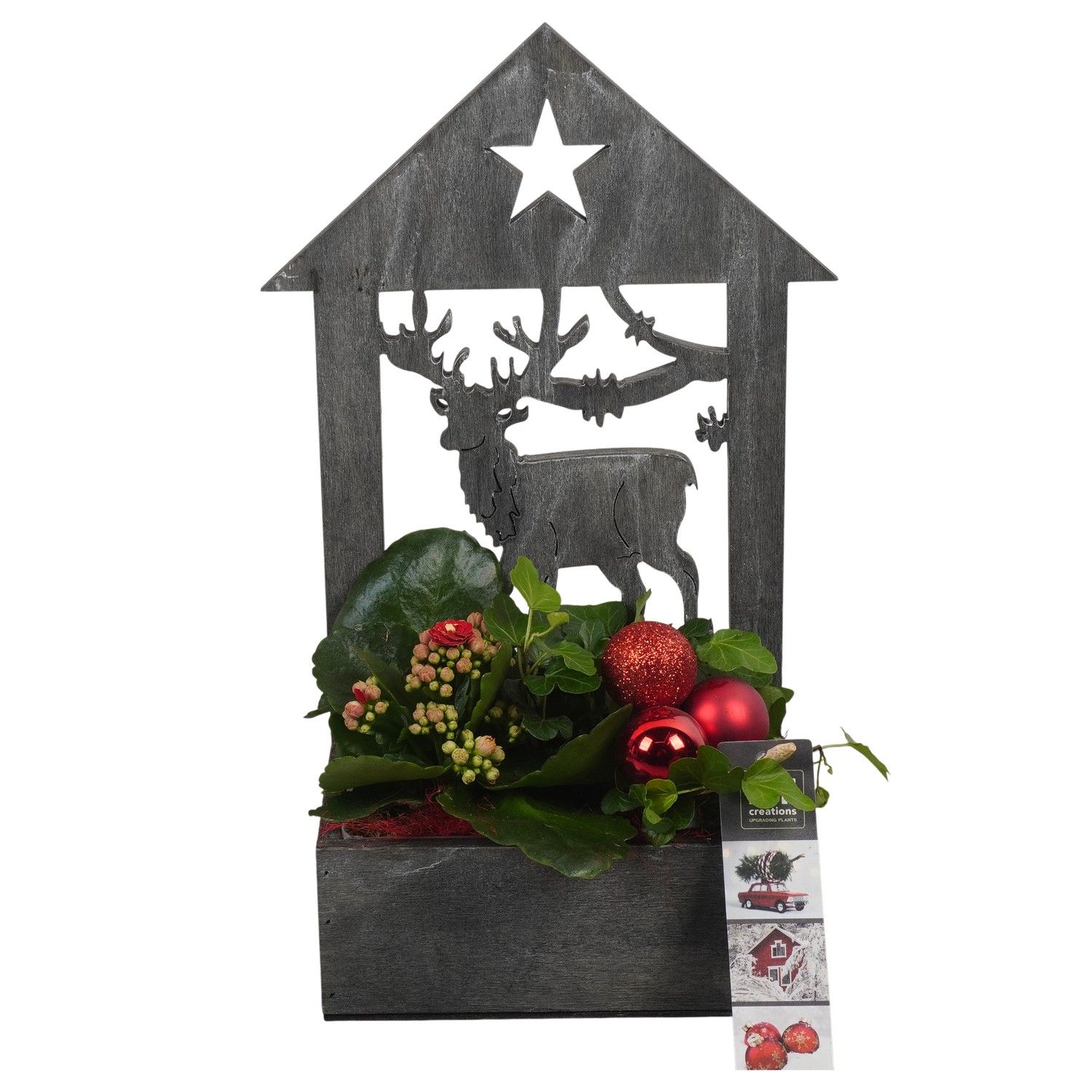 PTCHR7409 Arrangement Christmas Red in houten pot, D 16 cm