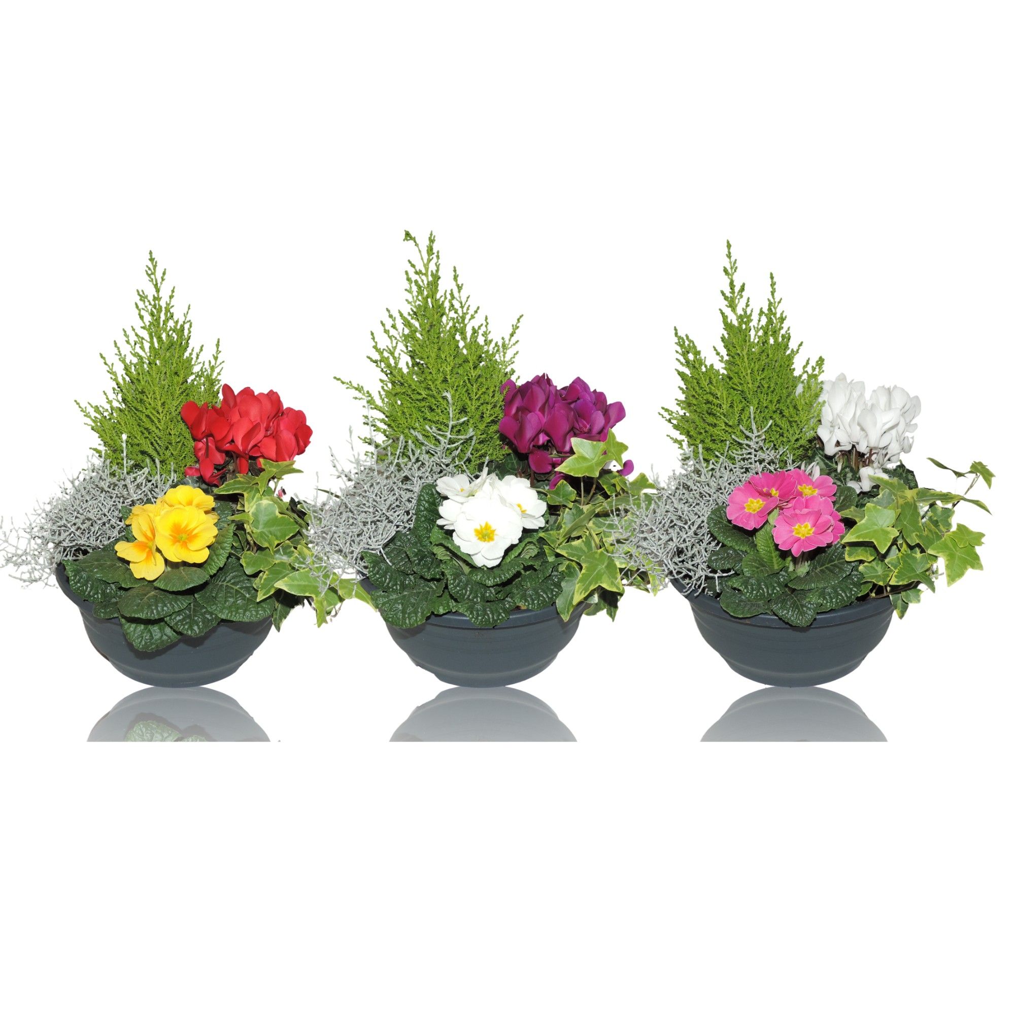 Arrangement Autumn Classic in Schaal 23 cm, D 23