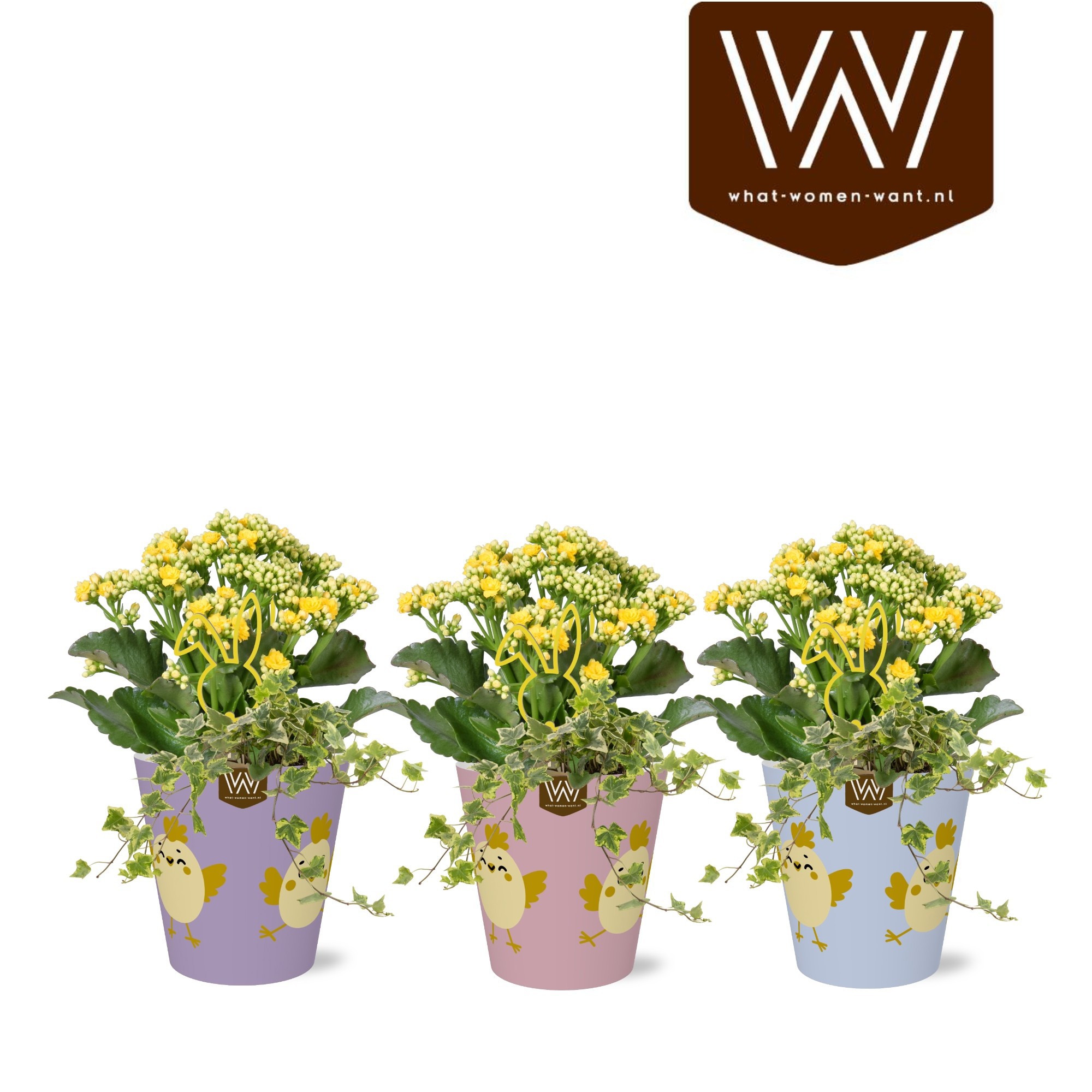 Paas Arrangement in papercup Fay Pasen, D 12