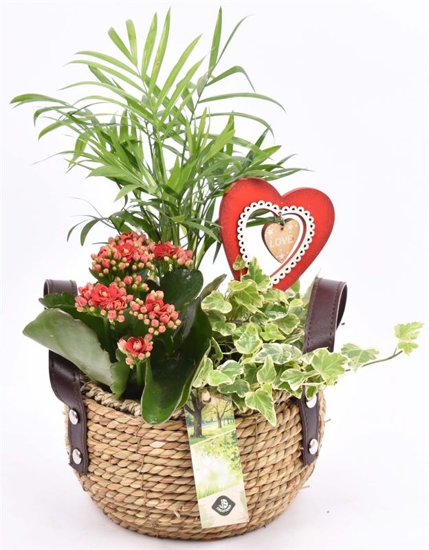 Natuur mand met hengsel 16cm, D 16