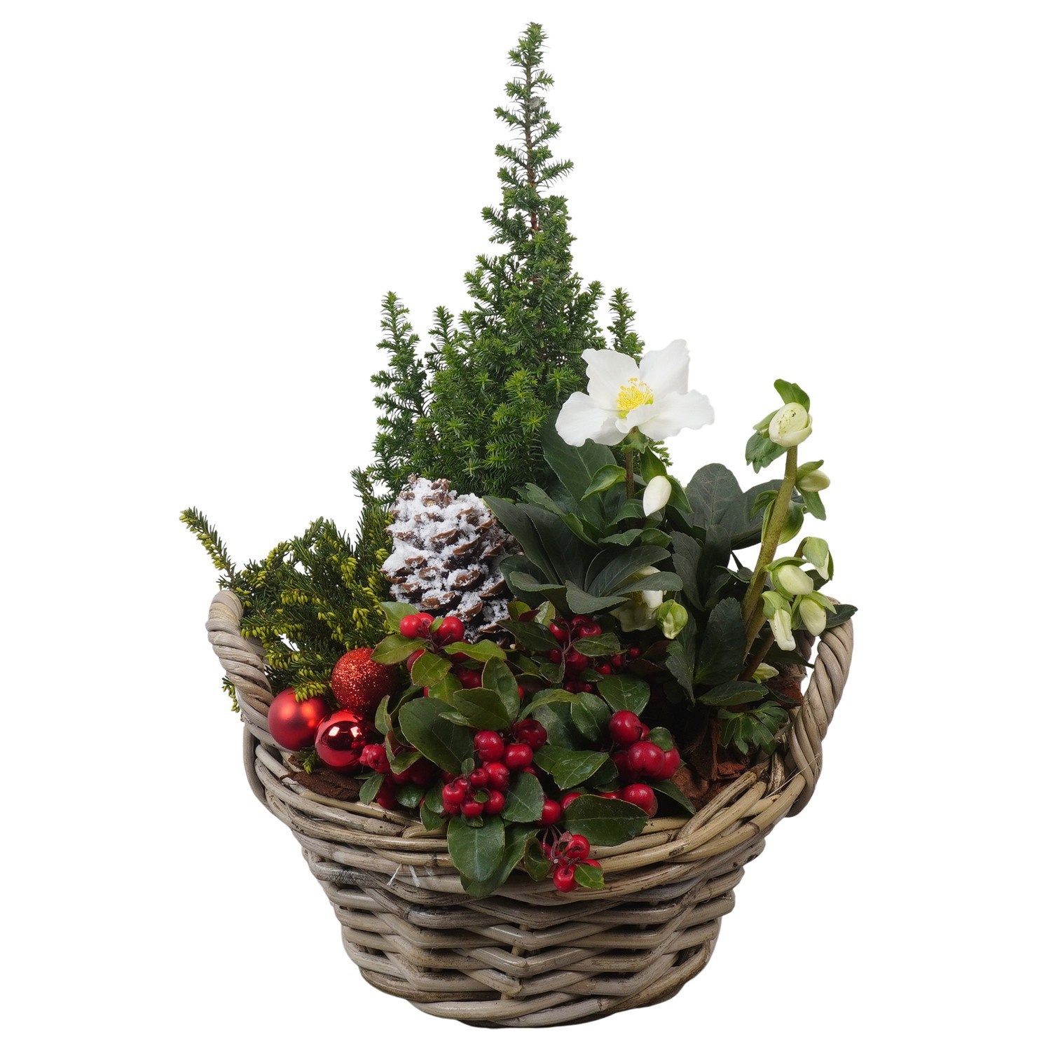 PTCHO5441 Arrangement Christmas Outdoor in rieten mand, D 28