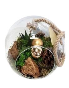 911 KST Bolglas + hangtouw mini groenmix KERST, D 20