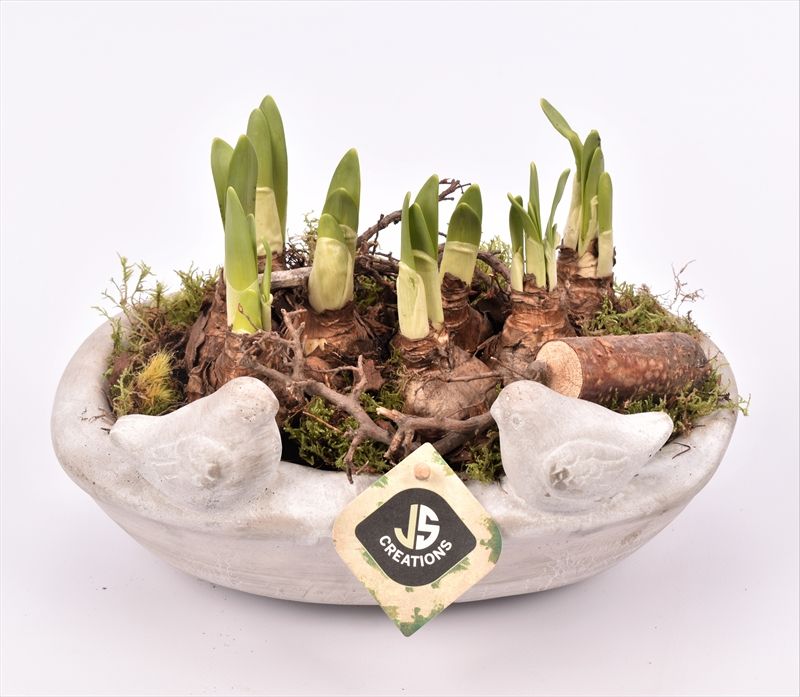 Cement voederschaal 25x16cm, D 25