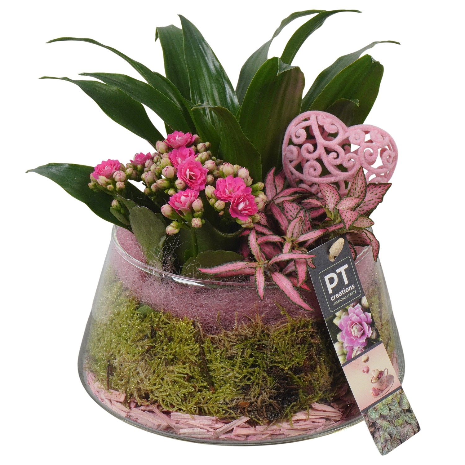 PTVMG4940 Arrangement Valentines-Mothersday in glas schaal, D 18