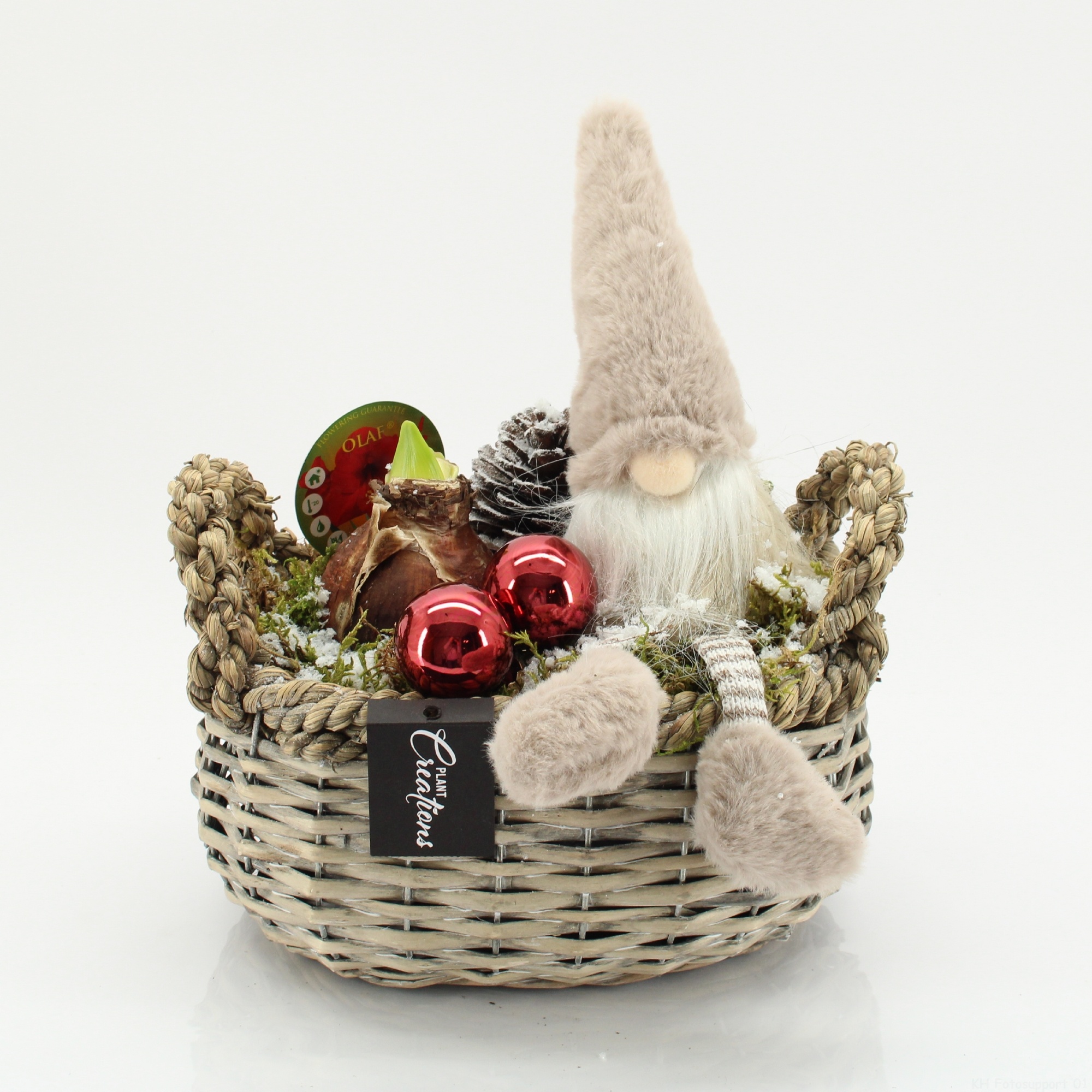 HICR-2531R Kerst Amaryllis, D 23 cm