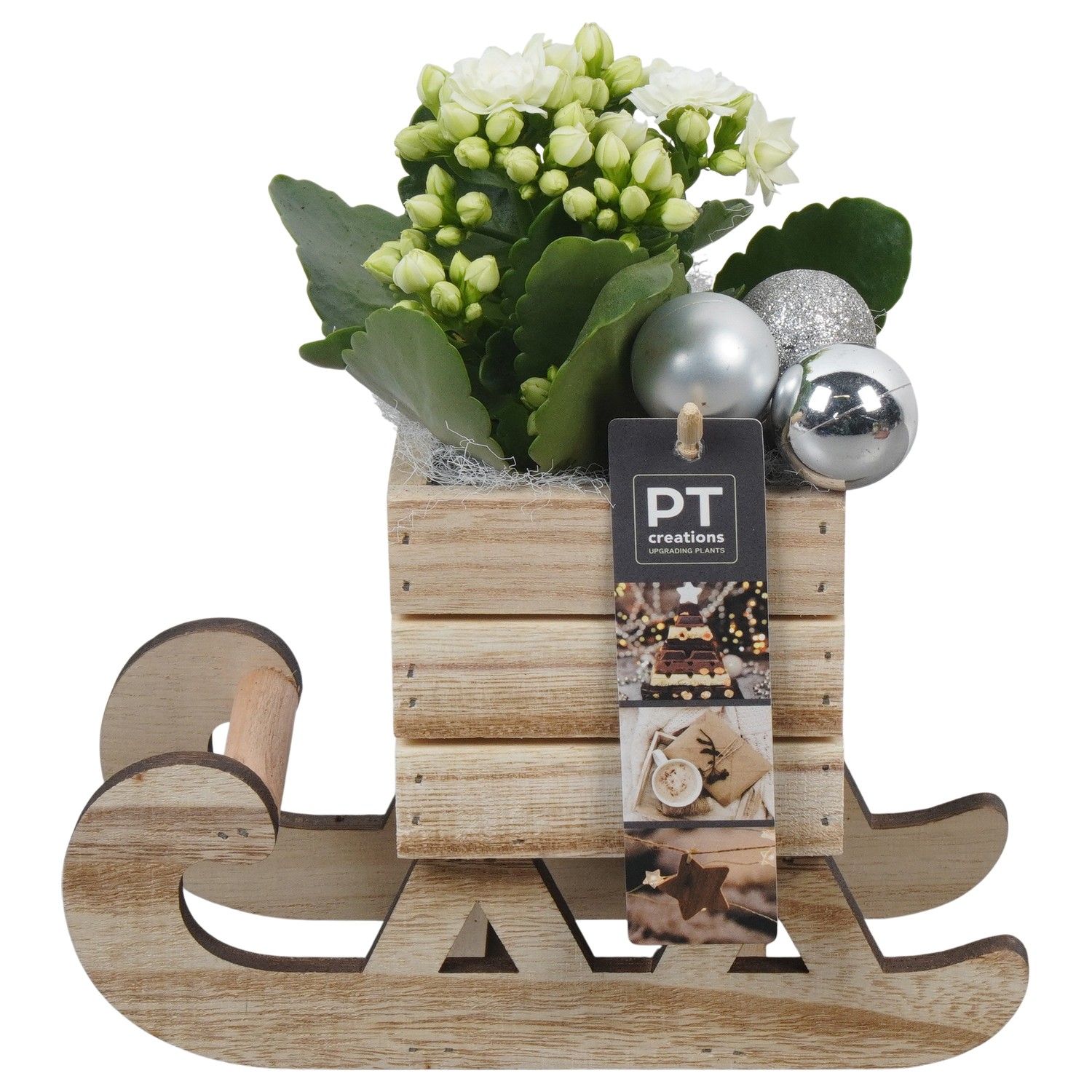 PTCHW4335 Arrangement Christmas White in houten slee, D 20 cm