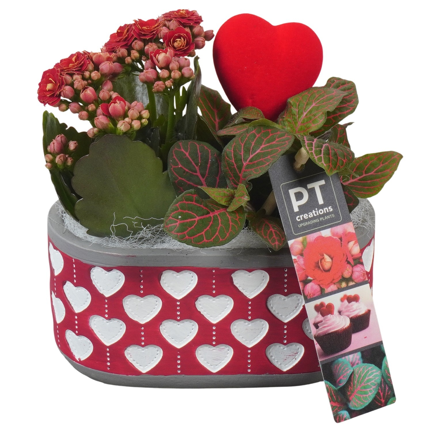 PTVMB2307 Arrangement Valentines-Mothersday in beton sierpot, D 14