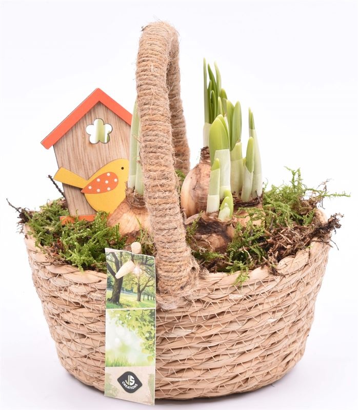 Natuur hengselmand 18x14cm, D 18