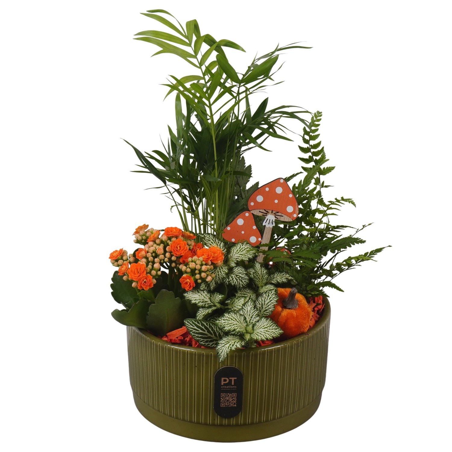 PTHI3223 Arrangement Autumn Indoor in keramiek schaal, D 19