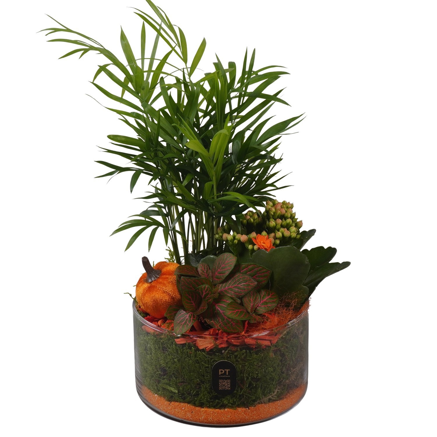 PTHG8204 Arrangement Autumn Glass in glas schaal, D 14