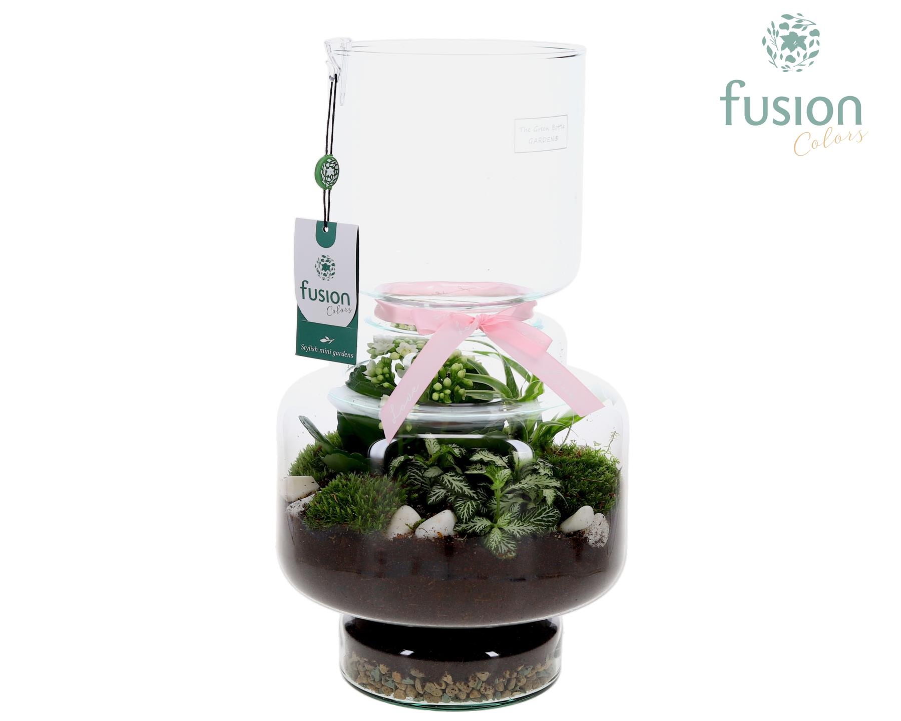 Green Bottle Lotte Large met Moederdag arrangement, D 22