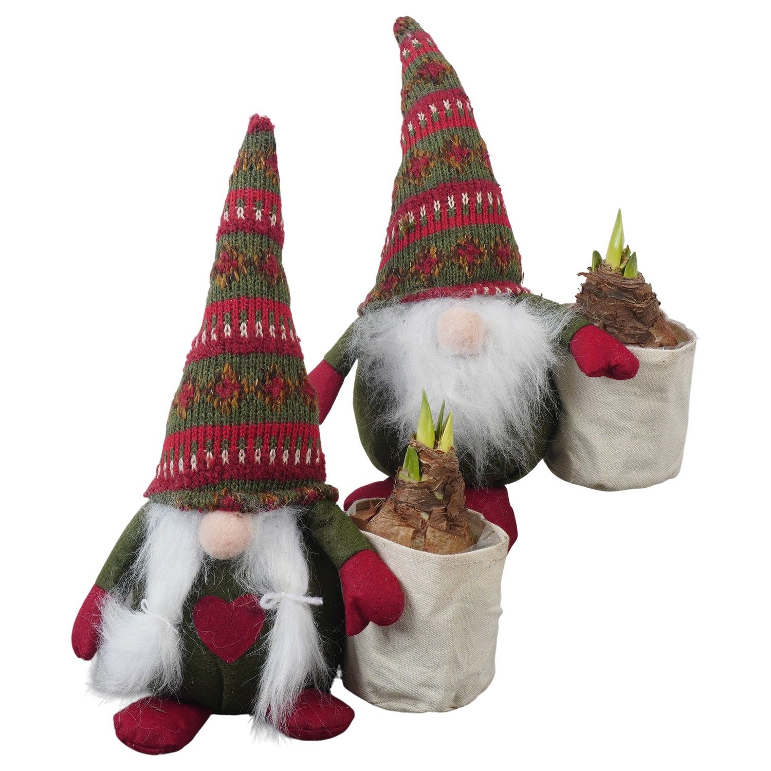 PTACH5914 Arrangement Amaryllis Christmas in stoffen gnome, D 26 cm