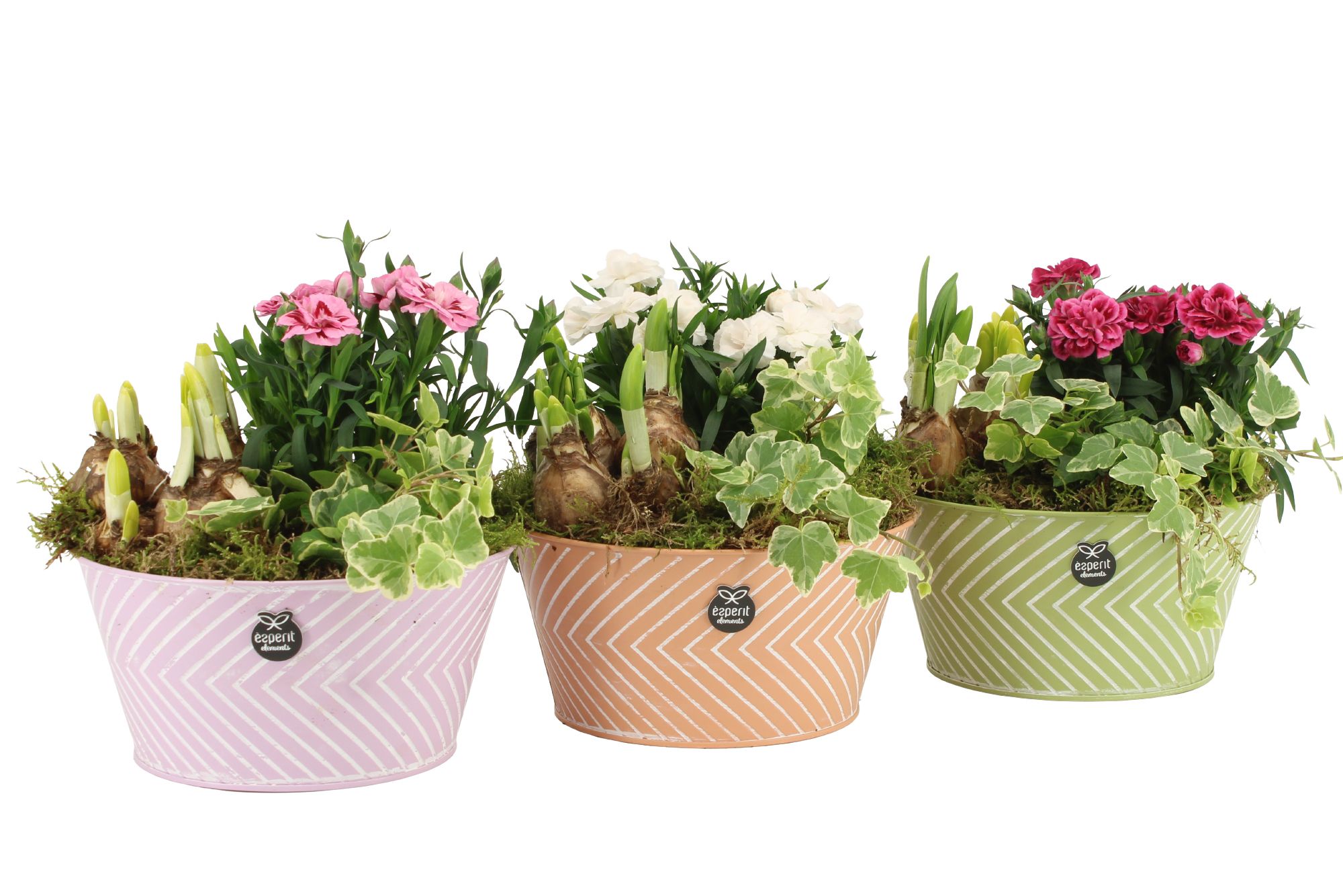 11364: Outdoor spring arrangement, D 18 cm