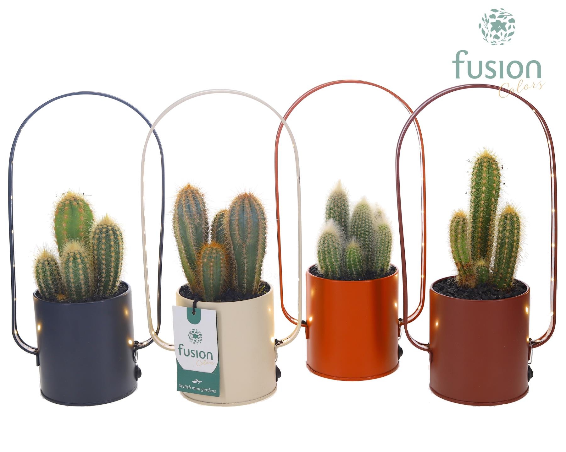 LED planter zink boog met Cactus, D 9