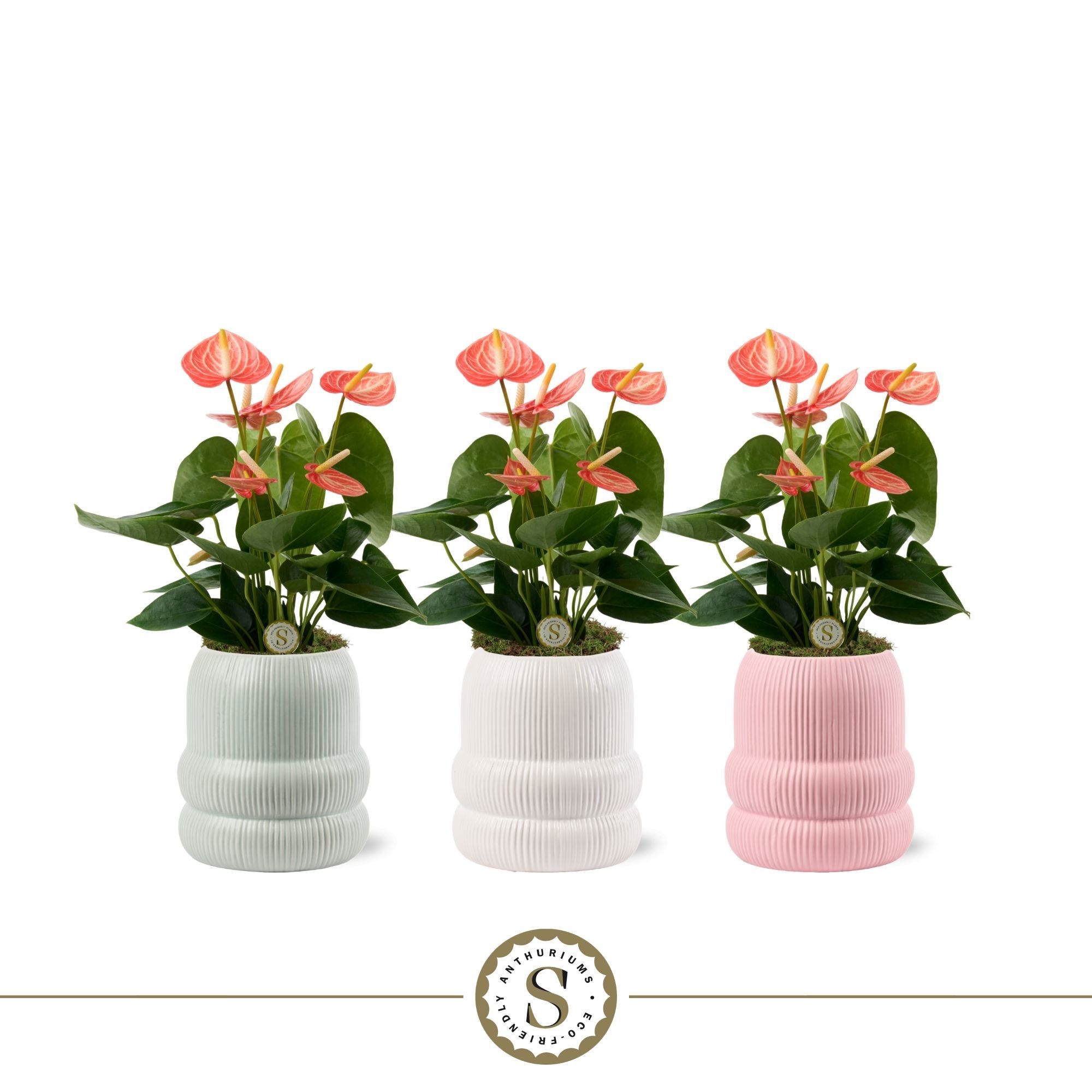 Helsinki Keramiek Livium Orange, D 9