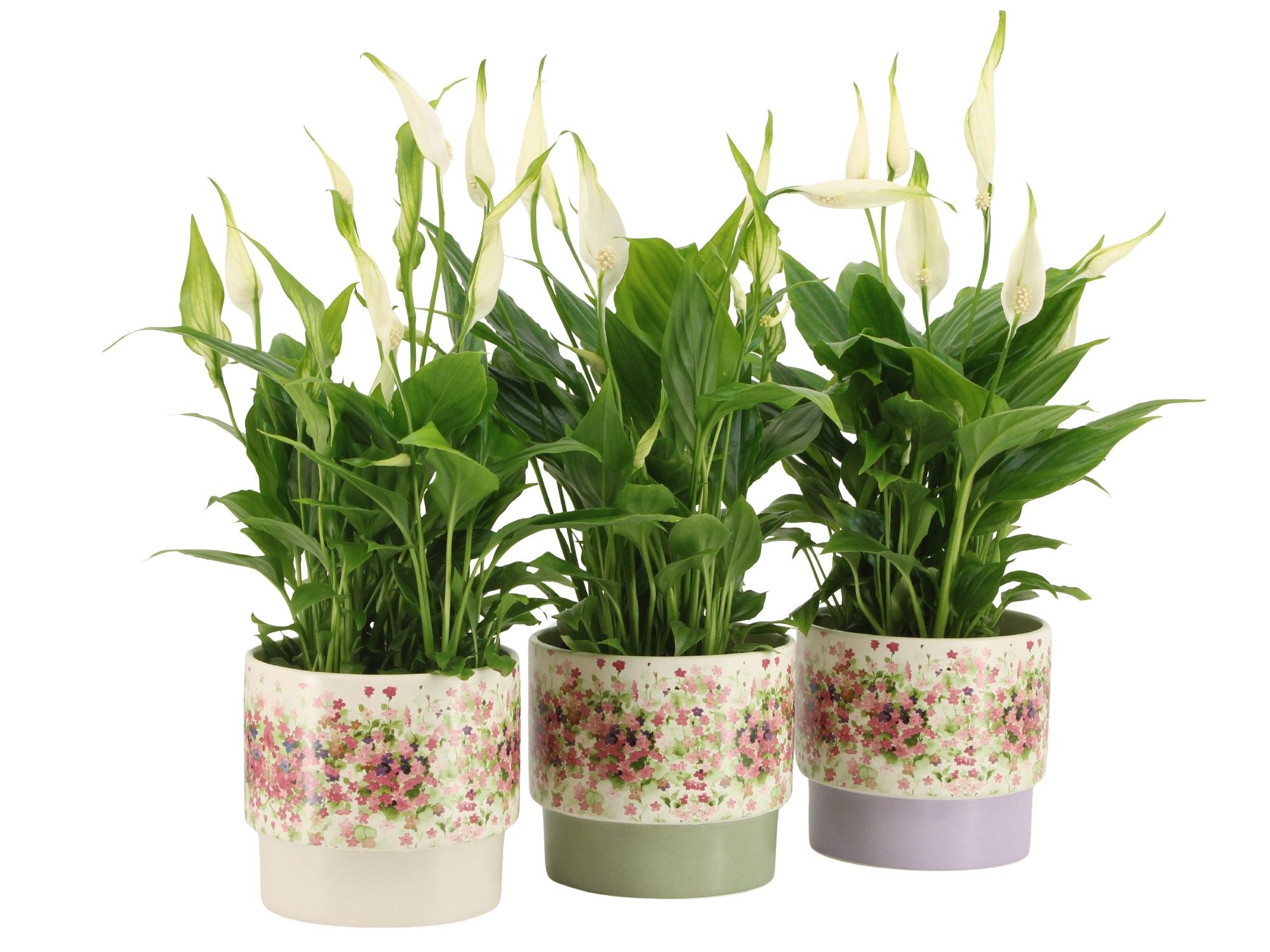 7501392: Solutionss Consideration, D 10,5