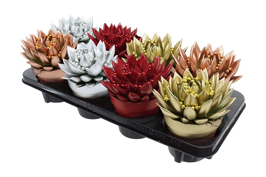 Miranda coloured Xmas mix + chain, D 12 cm