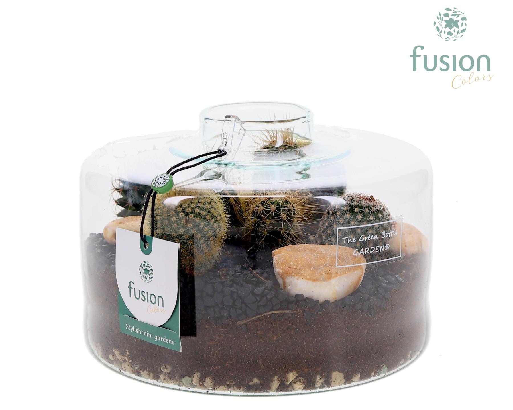 Green Bottle Kyra Medium met Cactussen arrangement, D 19 cm Green Bottle Kyra Medium met Cactussen arrangement, D 19 cm