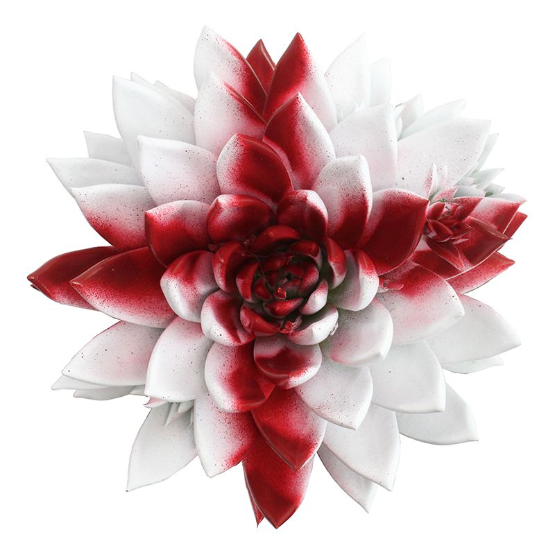 Miranda coloured flag England, D 10,5