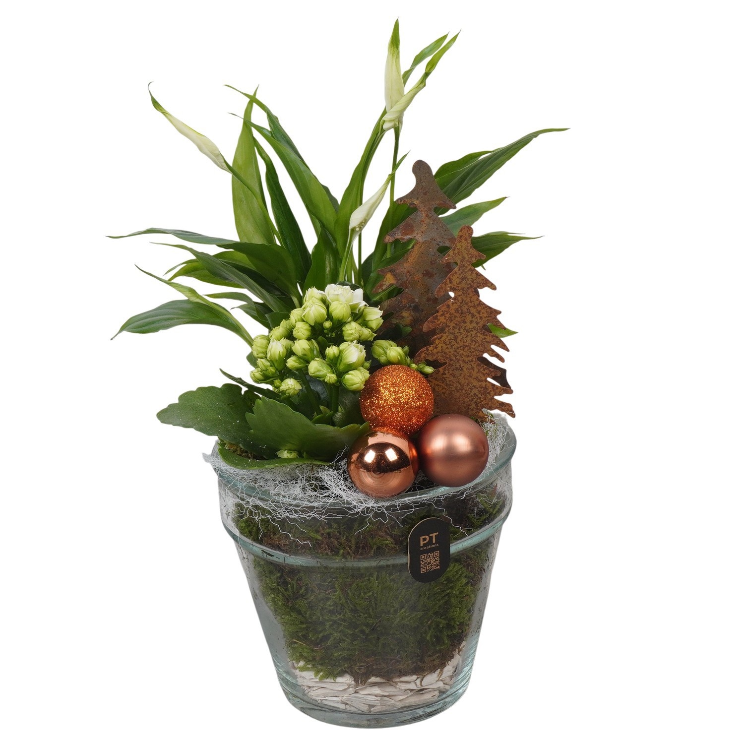 PTCHB5805 Arrangement Christmas Bronze in glazen vaas, D 13