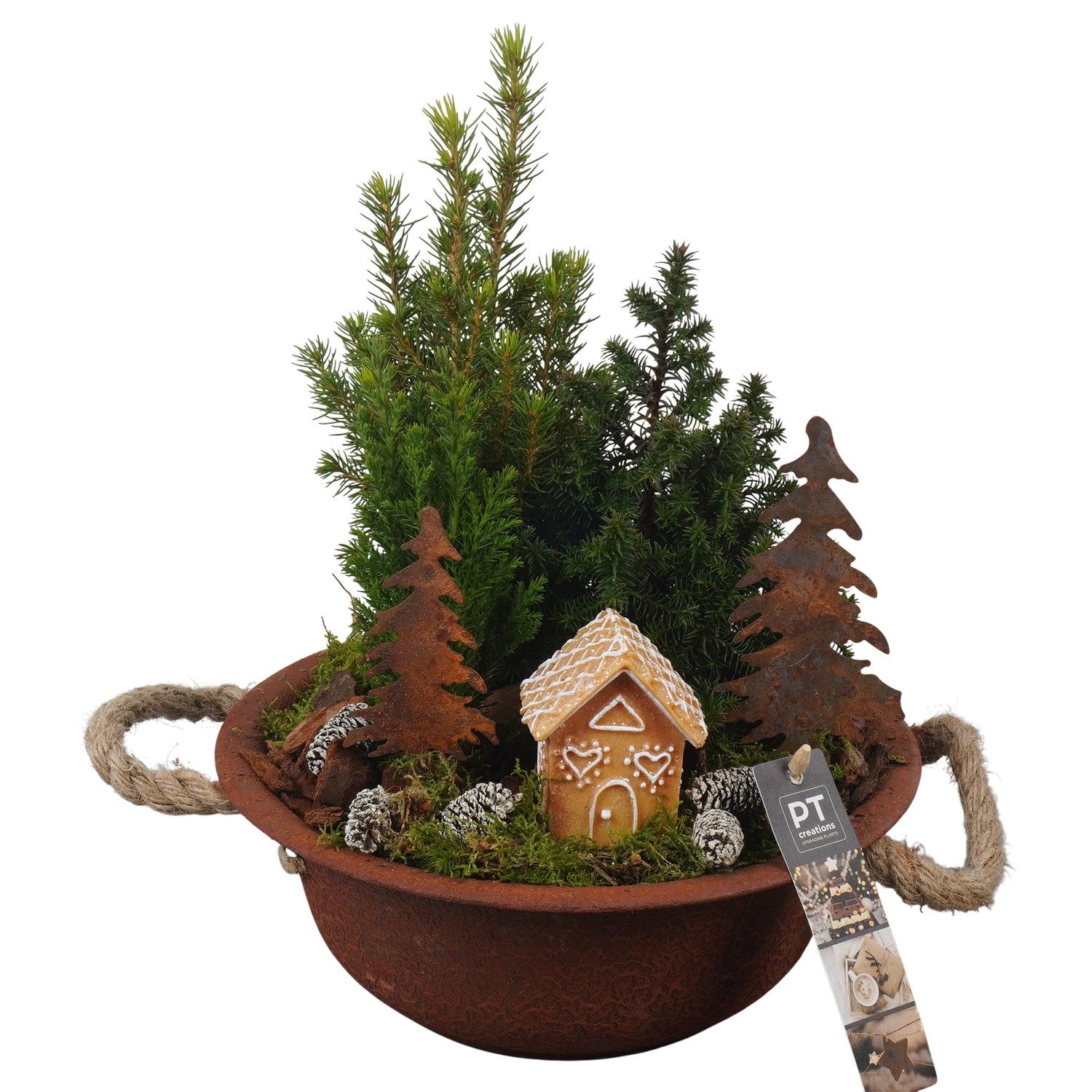 PTCWW6906 Arrangement Winter in metalen schaal, D 24 cm