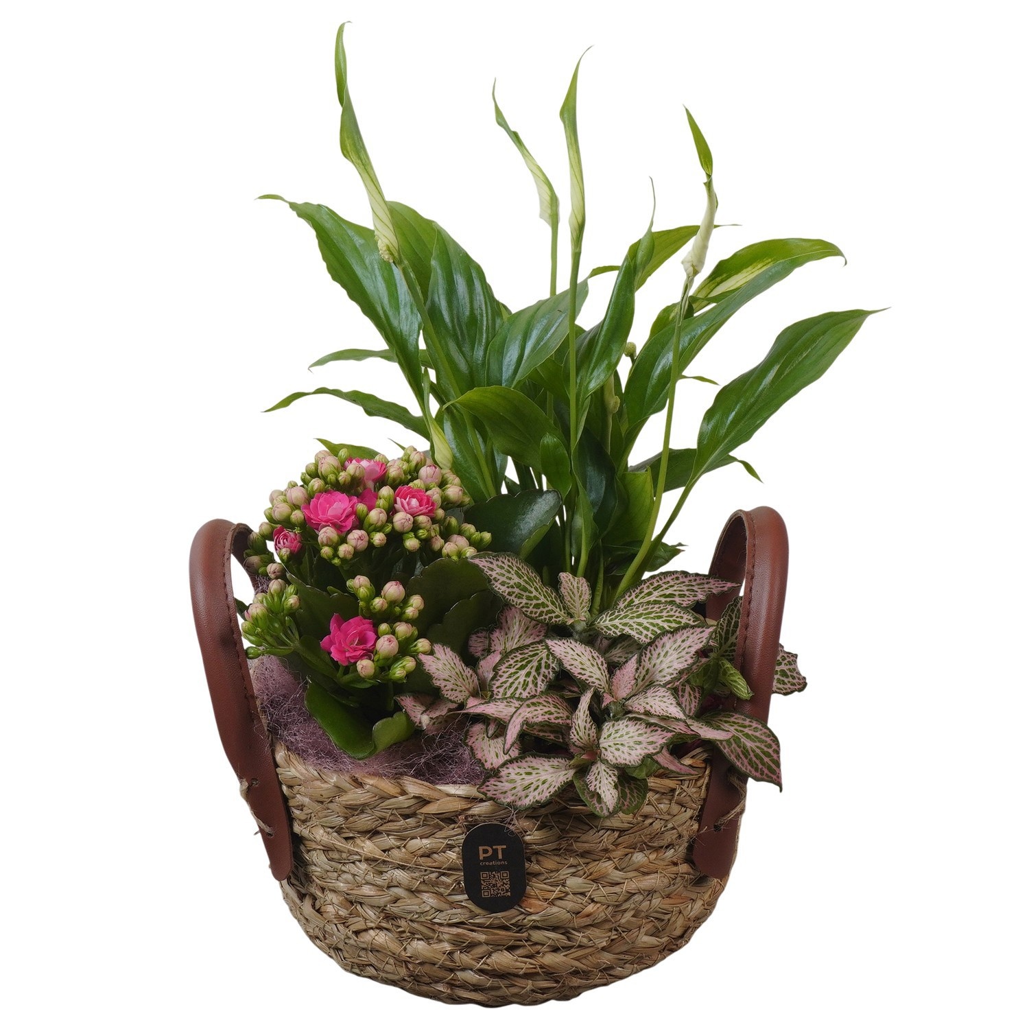 PTIB5234 Arrangement Indoor in rieten mand, D 15