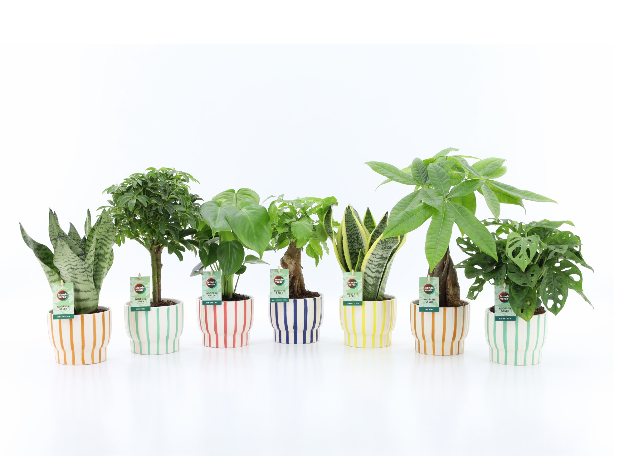 Easy to Care mix in Pastel Stripe, D 13