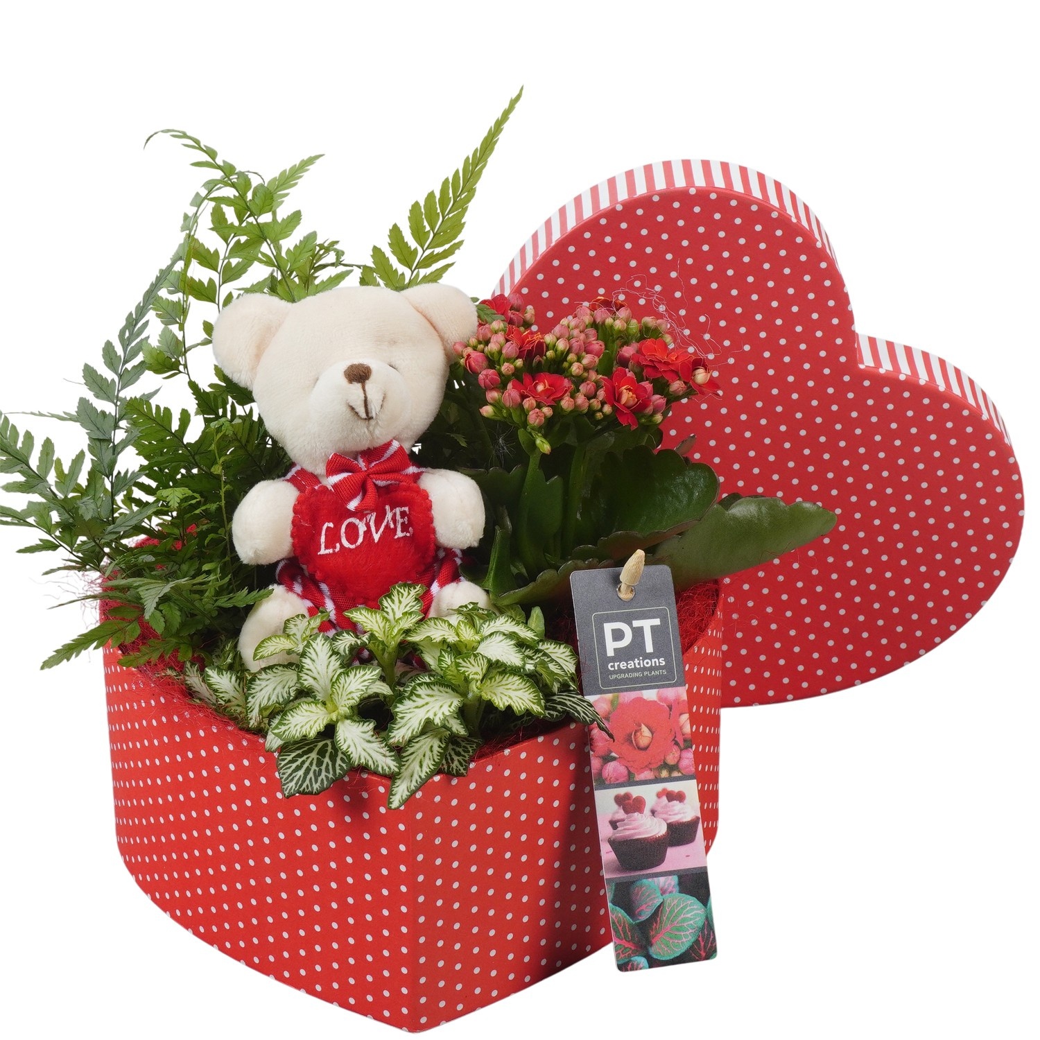 PTVMB2372 Arrangement Valentines-Mothersday in karton hart, D 19