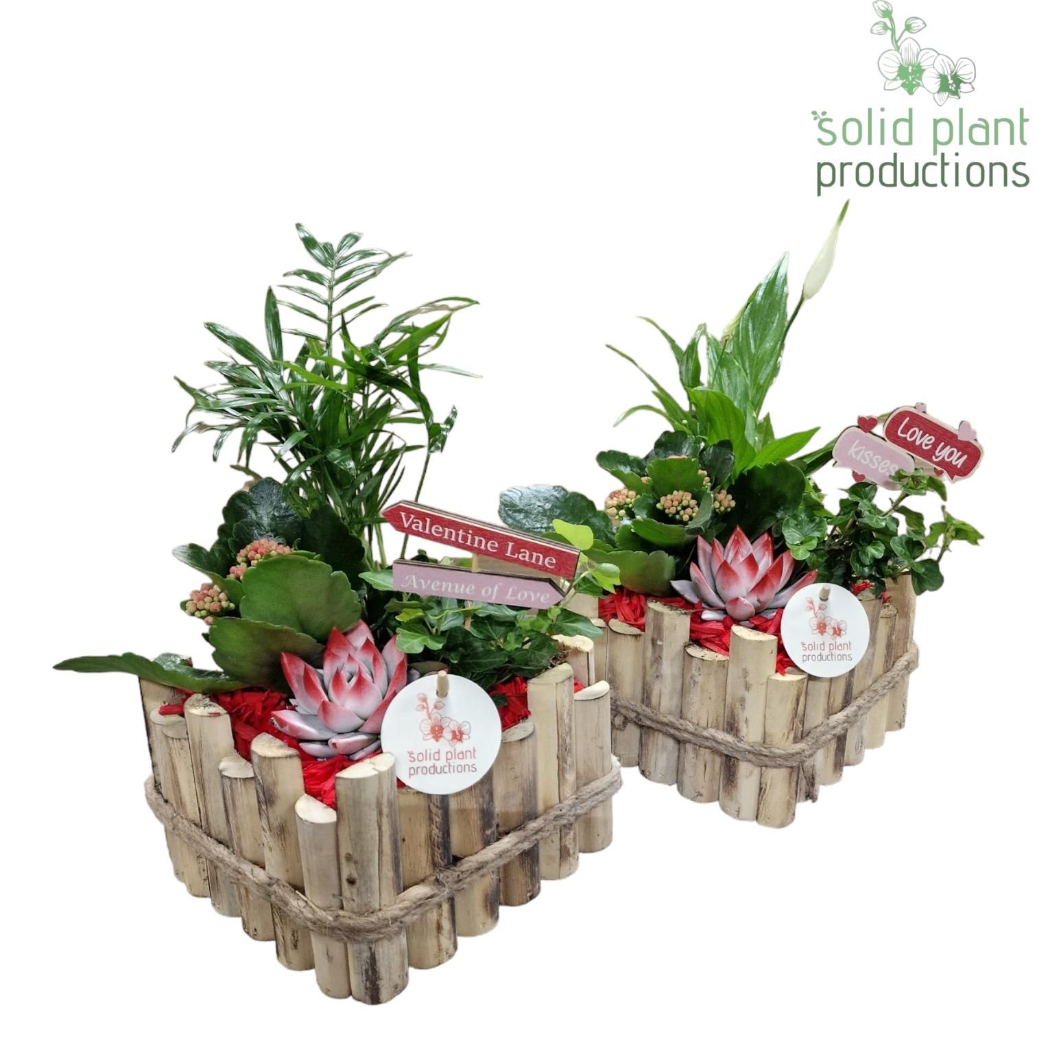 HVSCE004 Verona Small Red Mix, D 18