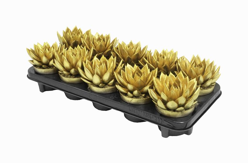 Miranda coloured gold + Natureglit®, D 10,5 cm