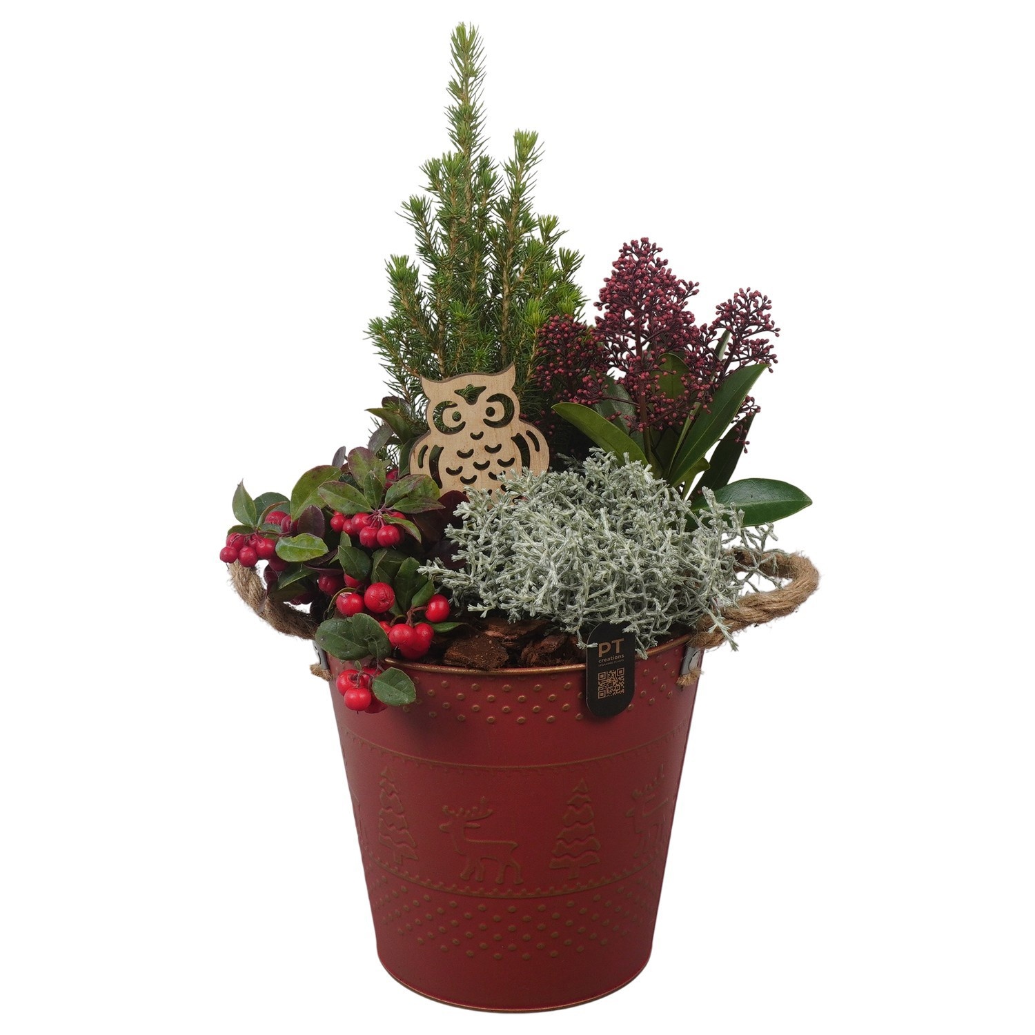 PTWO2883 Arrangement Winter Outdoor in metalen pot, D 21