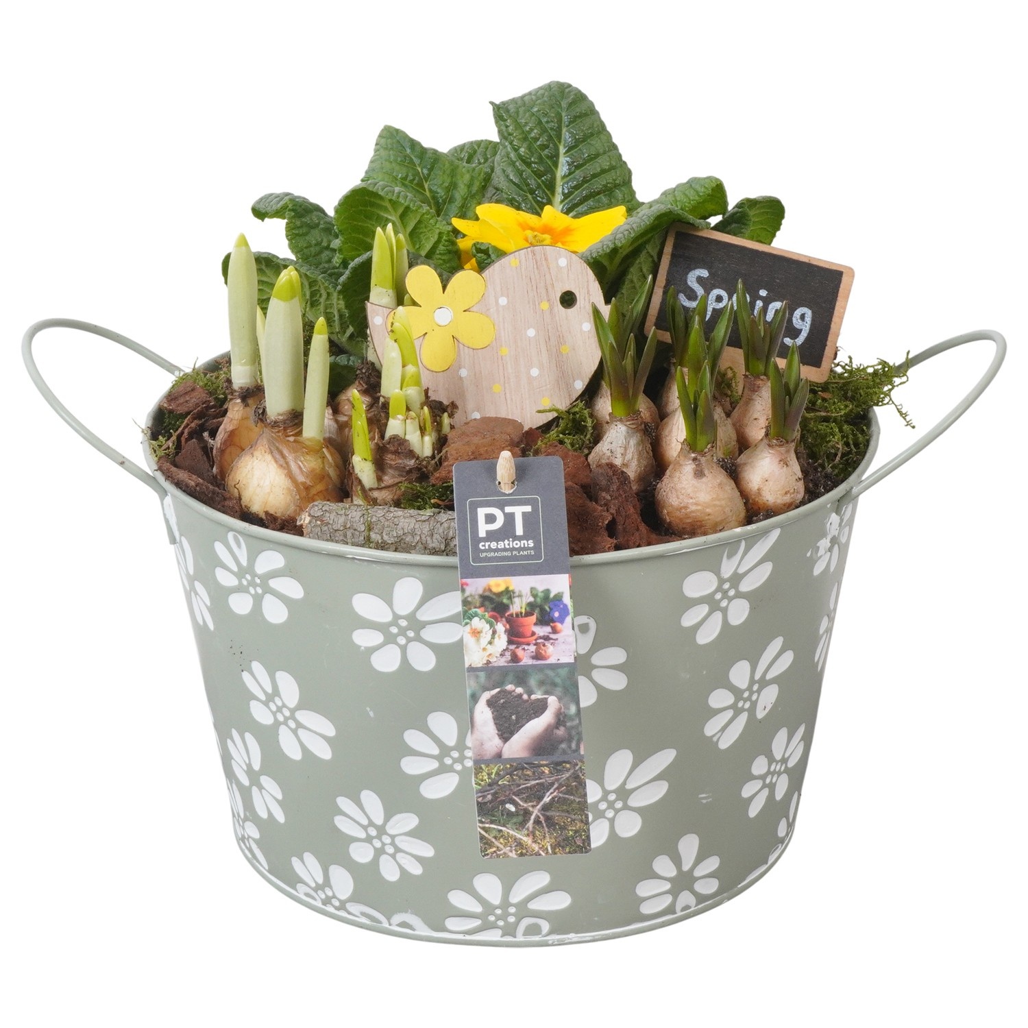 PTBM3764 Arrangement Flower Bulbs Mix in metalen pot, D 22