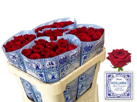 Роза од. Рэд Наоми 70, шт.