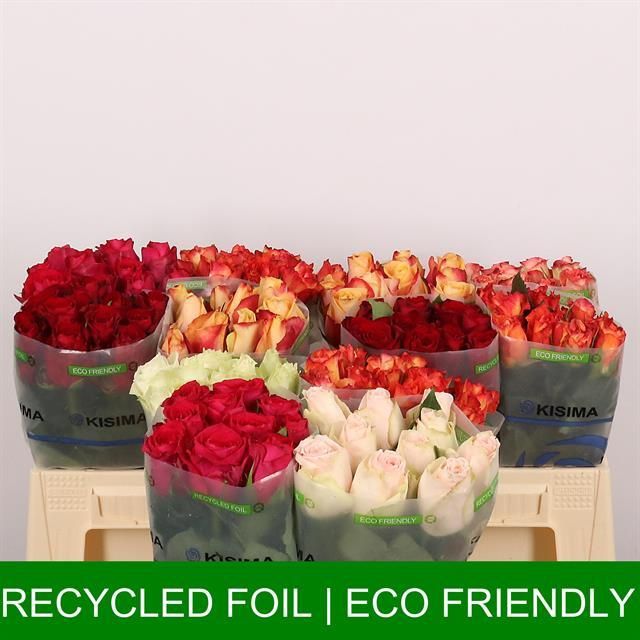 Роза од. Микс в баке 40, шт.