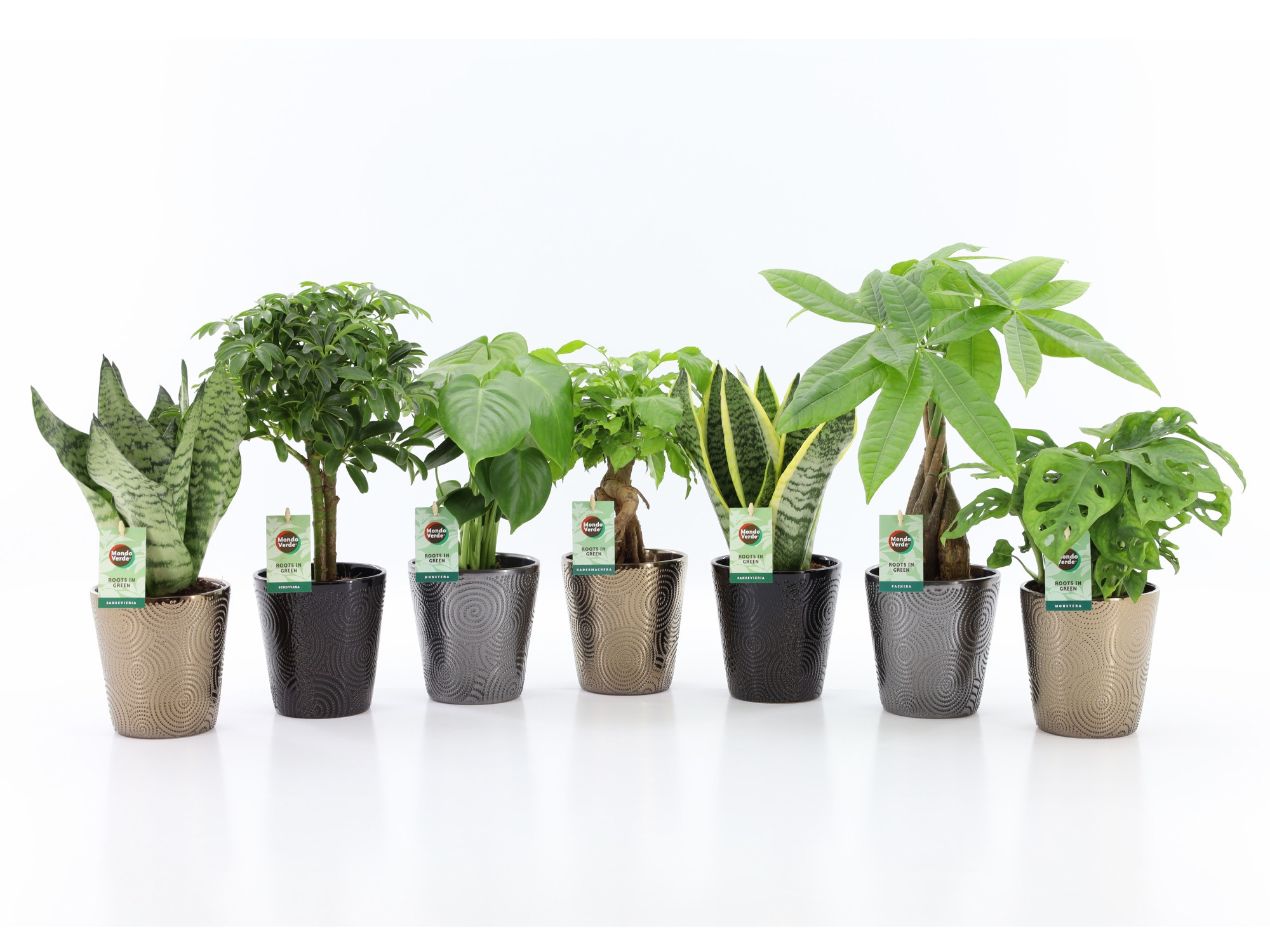 Easy to Care Mix in Infinity Keramiek, D 13