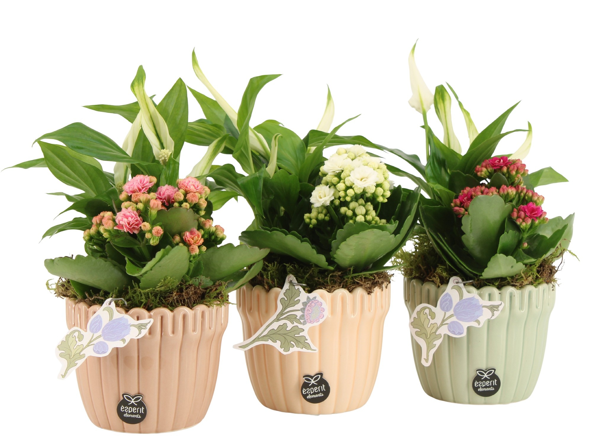 21917: Contradiction arrangement, D 10