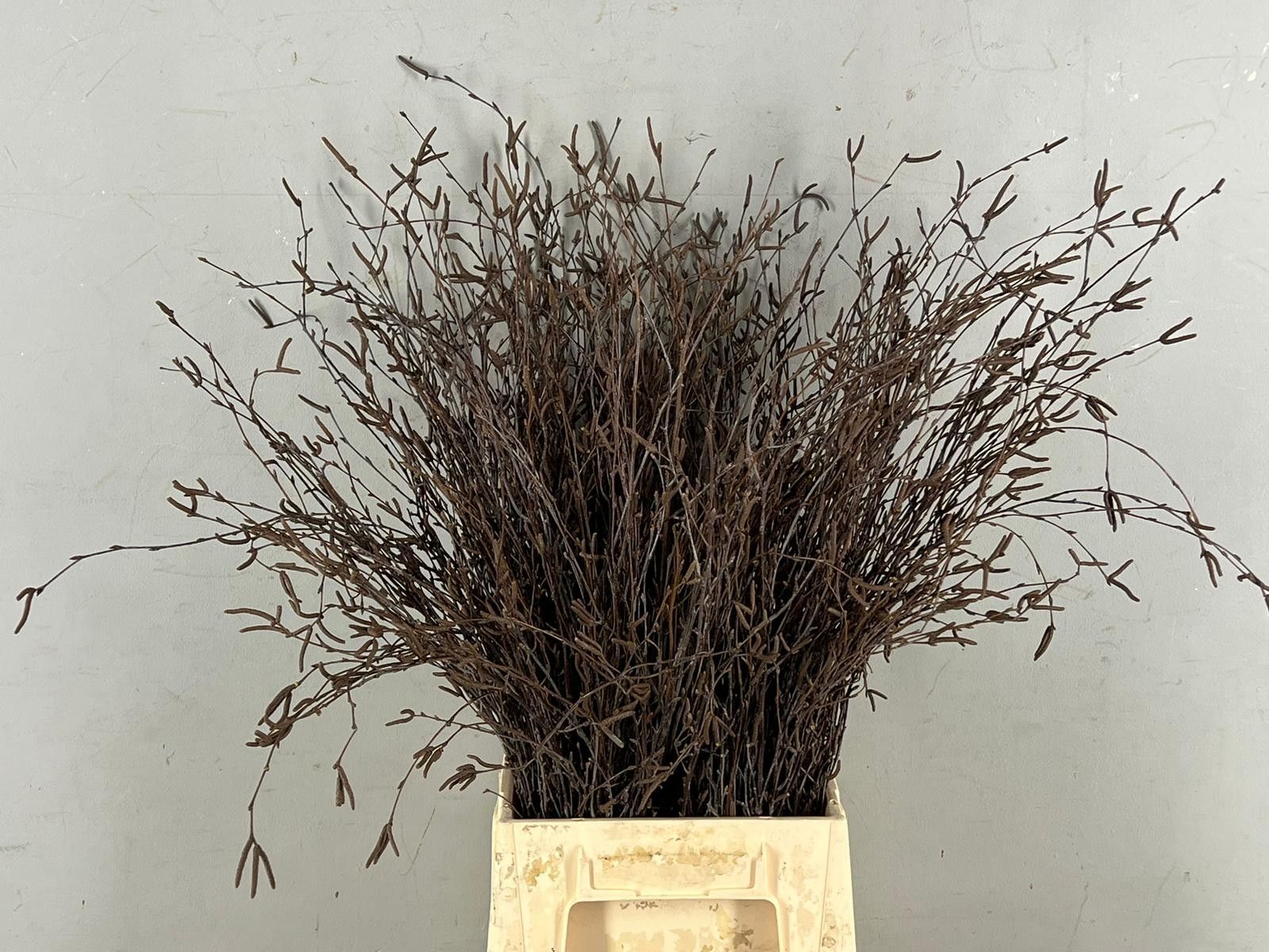 Беркетакен Овериг 70, шт.