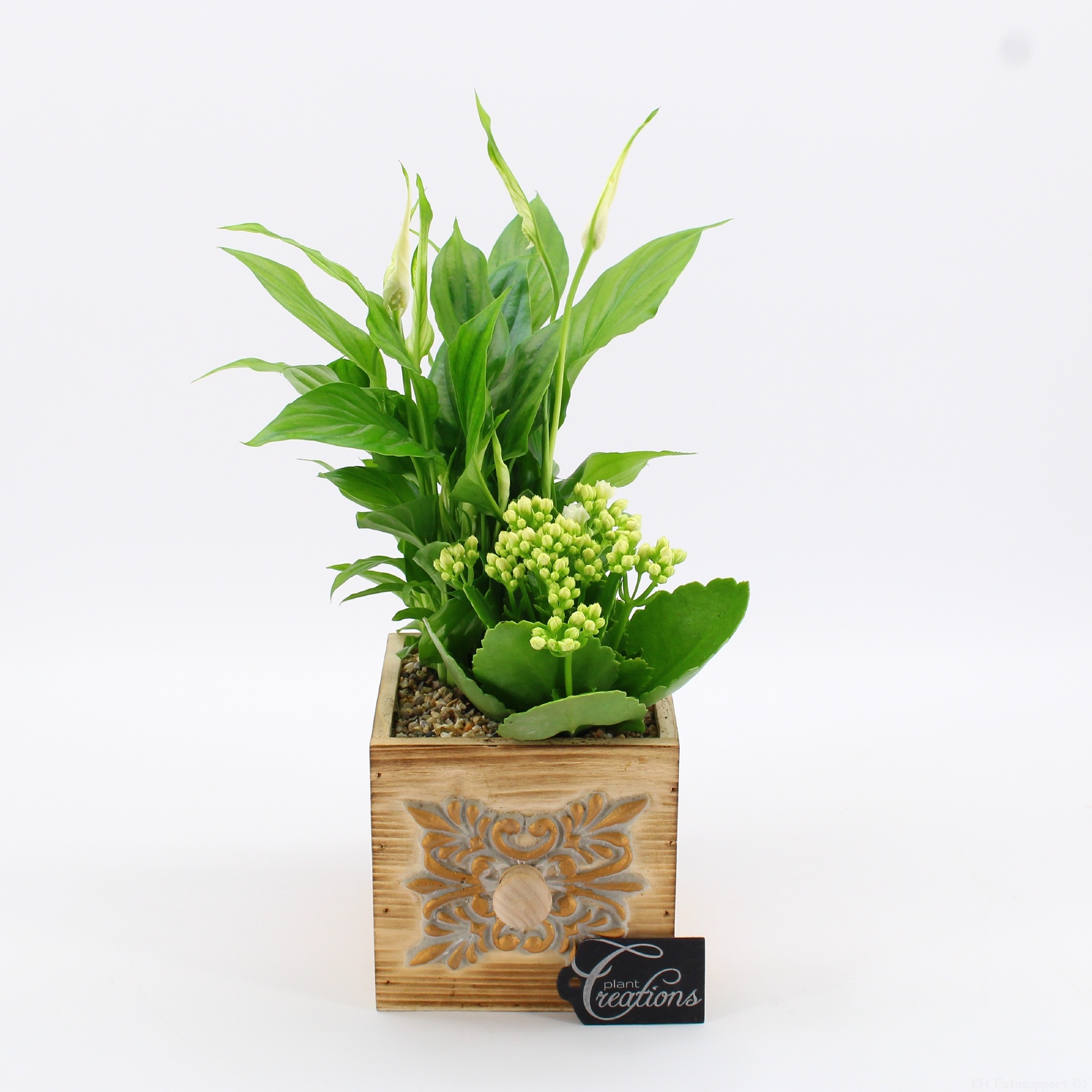 ESCR-2609W Essentials, D 12