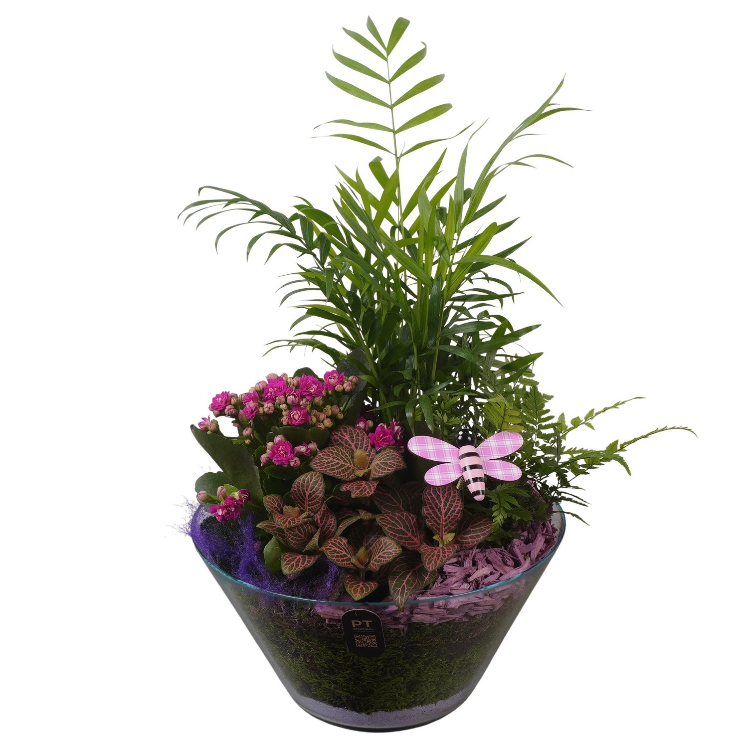 PTIG2676 Arrangement Indoor in glas schaal, D 26